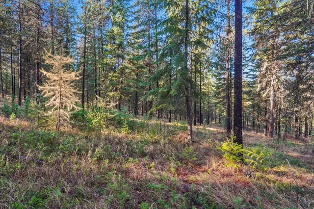 $475,000 | 2094 Clugston Creek-Onion Creek Road, Unit BB & P, Colville, WA 99114