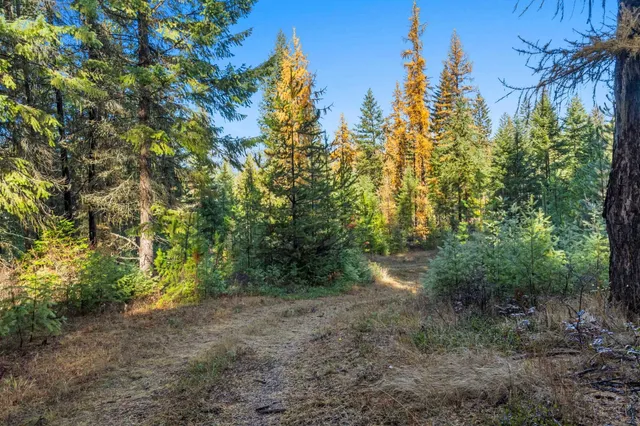 $475,000 | 2094 Clugston Creek-Onion Creek Road, Unit BB & P, Colville, WA 99114