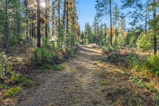 $475,000 | 2094 Clugston Creek-Onion Creek Road, Unit BB & P, Colville, WA 99114