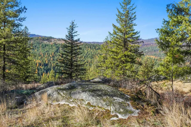 $475,000 | 2094 Clugston Creek-Onion Creek Road, Unit BB & P, Colville, WA 99114