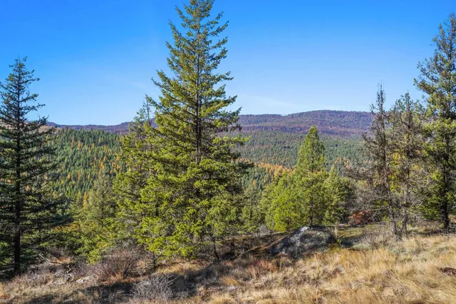 $475,000 | 2094 Clugston Creek-Onion Creek Road, Unit BB & P, Colville, WA 99114