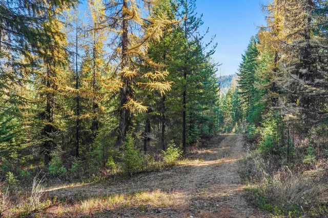 $475,000 | 2094 Clugston Creek-Onion Creek Road, Unit BB & P, Colville, WA 99114