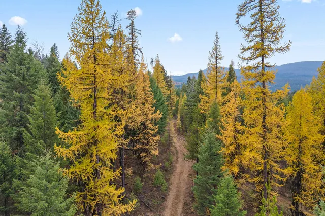 $475,000 | 2094 Clugston Creek-Onion Creek Road, Unit BB & P, Colville, WA 99114