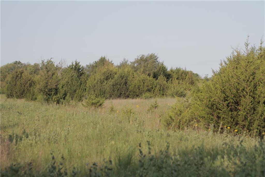 0 Texas Road Moran, KS 66755 - Photo 46 of 50 Gallery Image 46