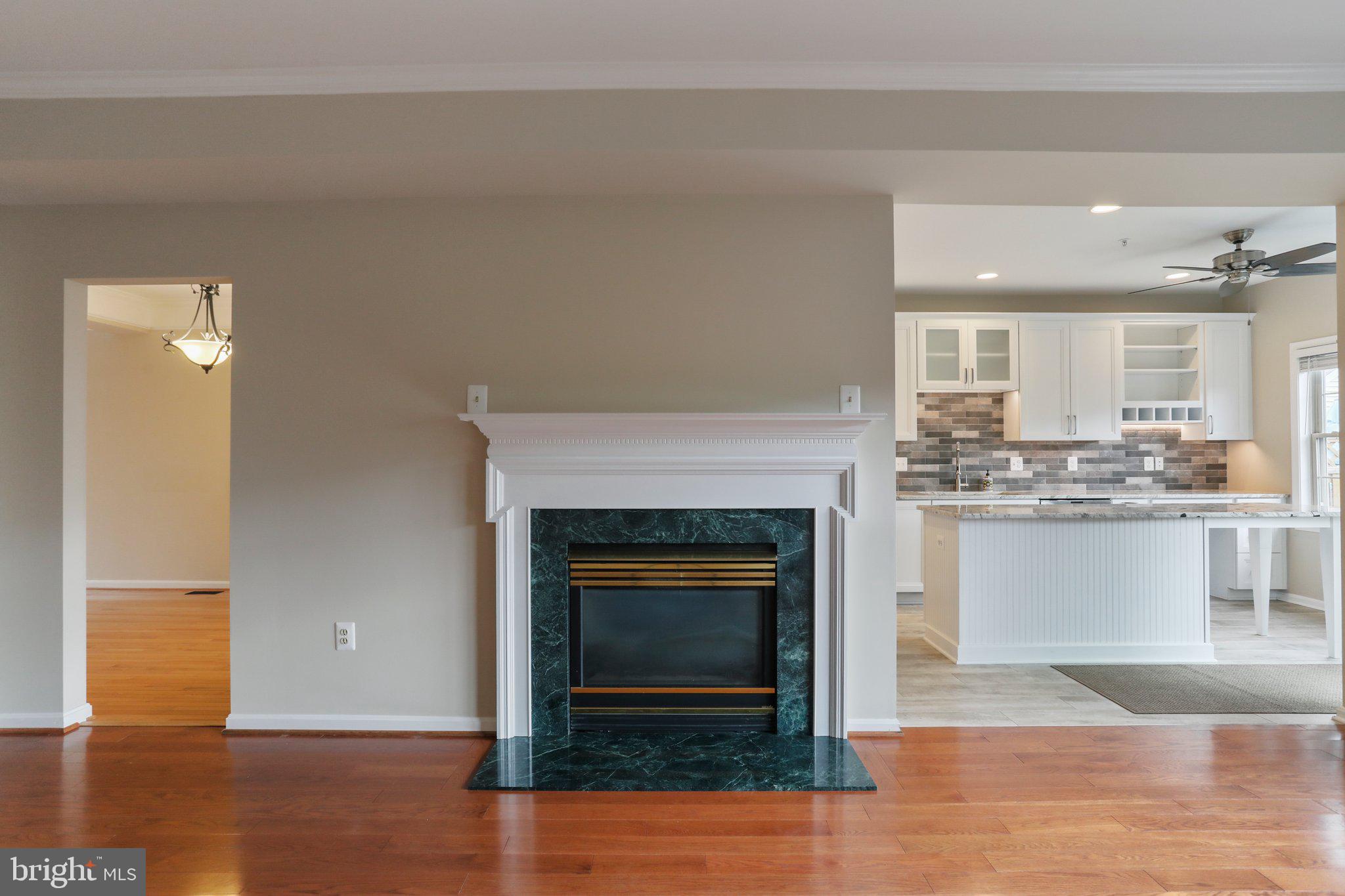 2437 Rippling Brook Road Frederick, MD 21701 - Photo 9 of 49 Gas Fireplace.