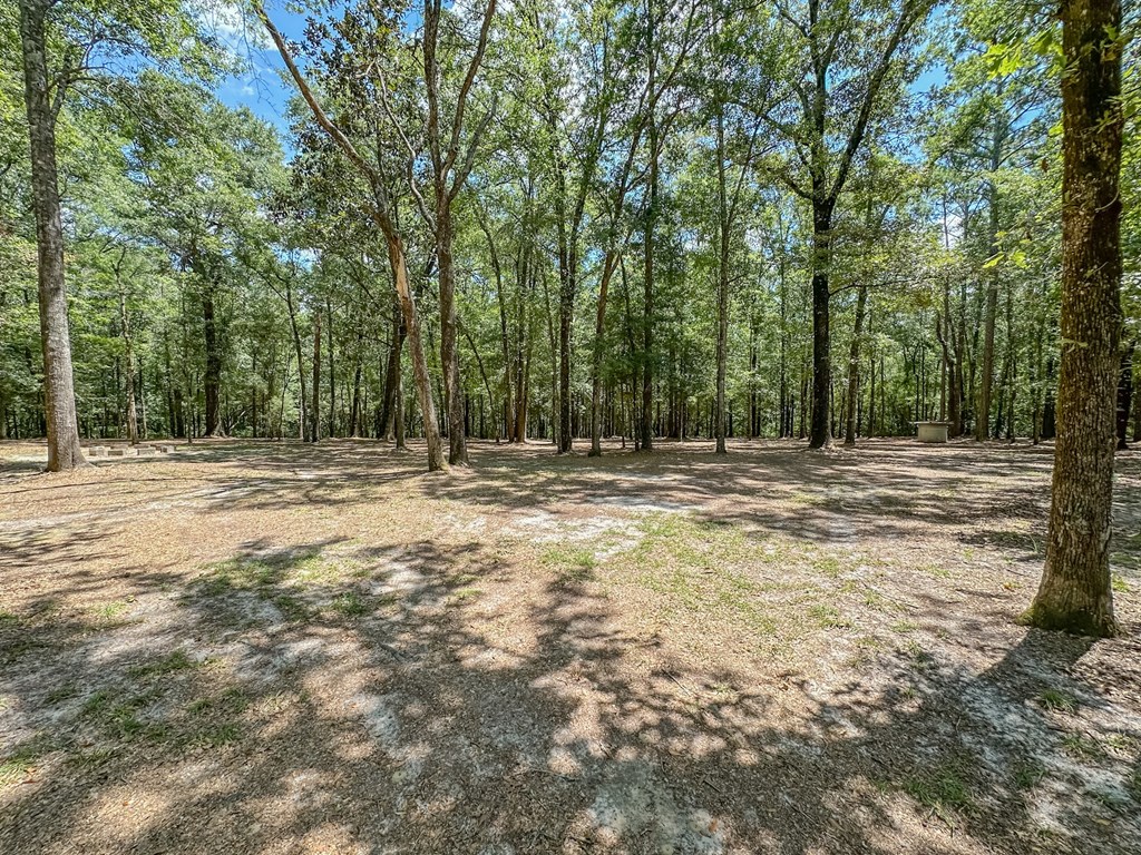 267 Oak Ridge Lane Kinston, AL 36453 - Photo 19 of 25