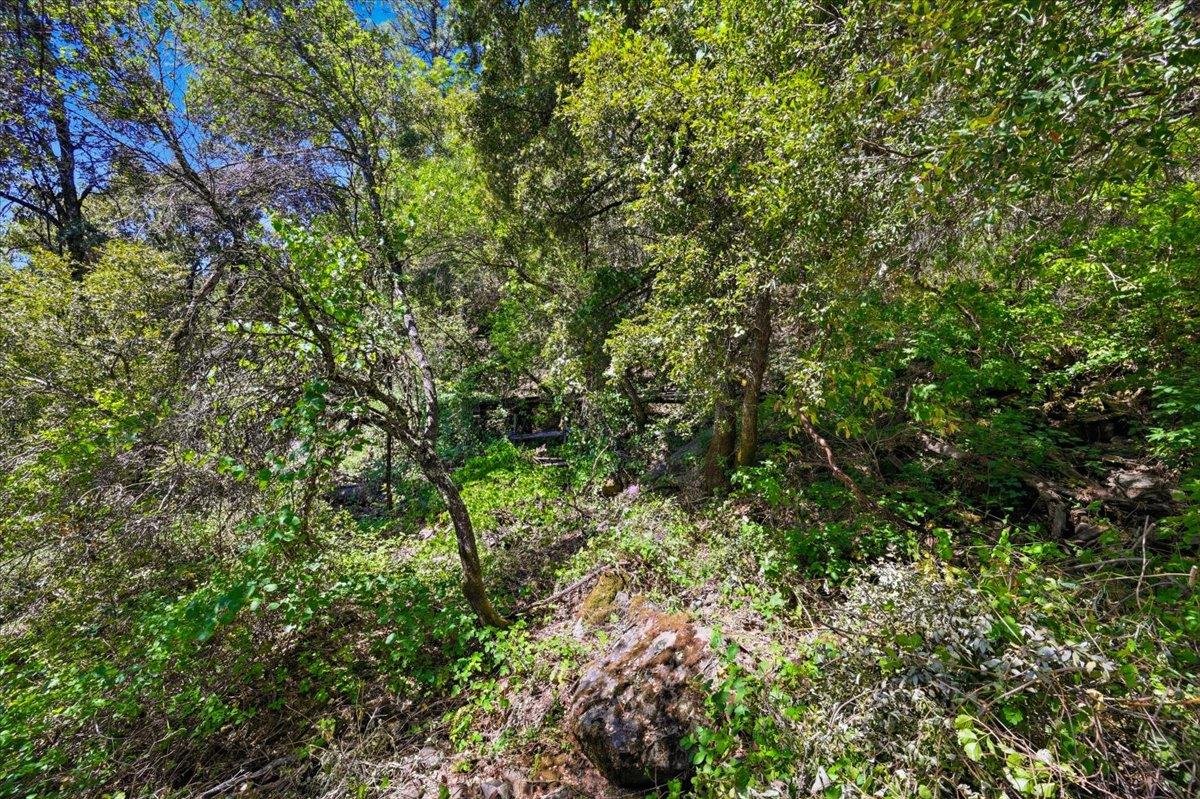 17468 Scopar Road Grass Valley, CA 95949 - Photo 37 of 45