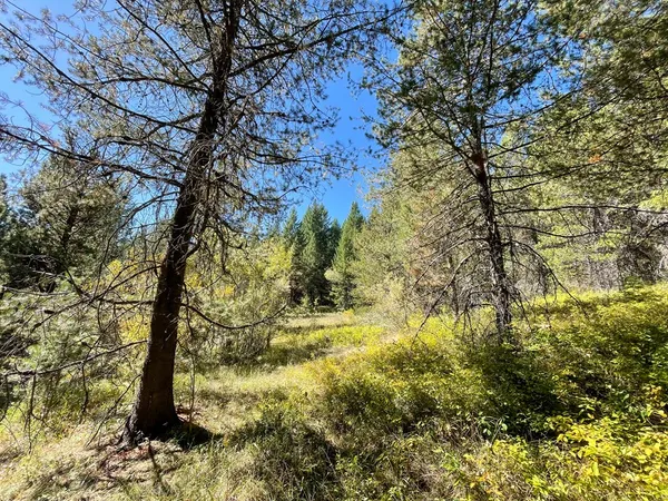 $748,230 | 1-1 Horsethief Road, Cascade, ID 83611