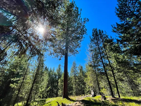 $748,230 | 1-1 Horsethief Road, Cascade, ID 83611