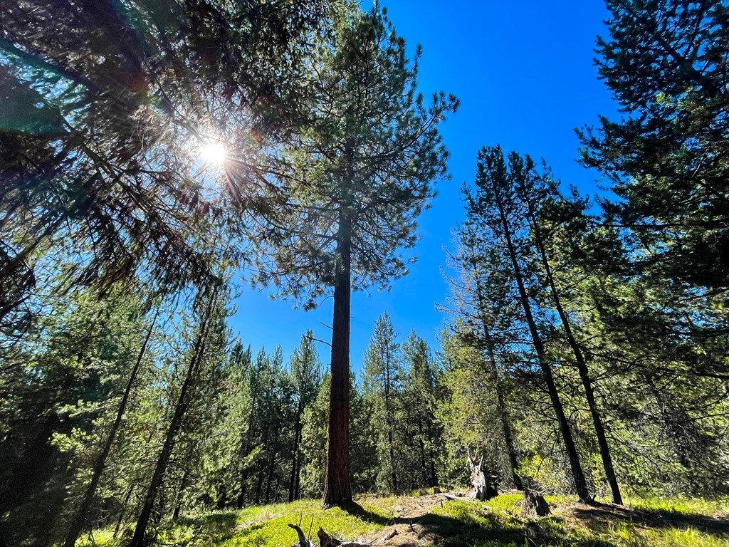1-1 Horsethief Road Cascade, ID 83611 - Photo 3 of 13