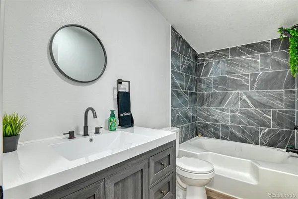 a bathroom with a sink a toilet a mirror and vanity