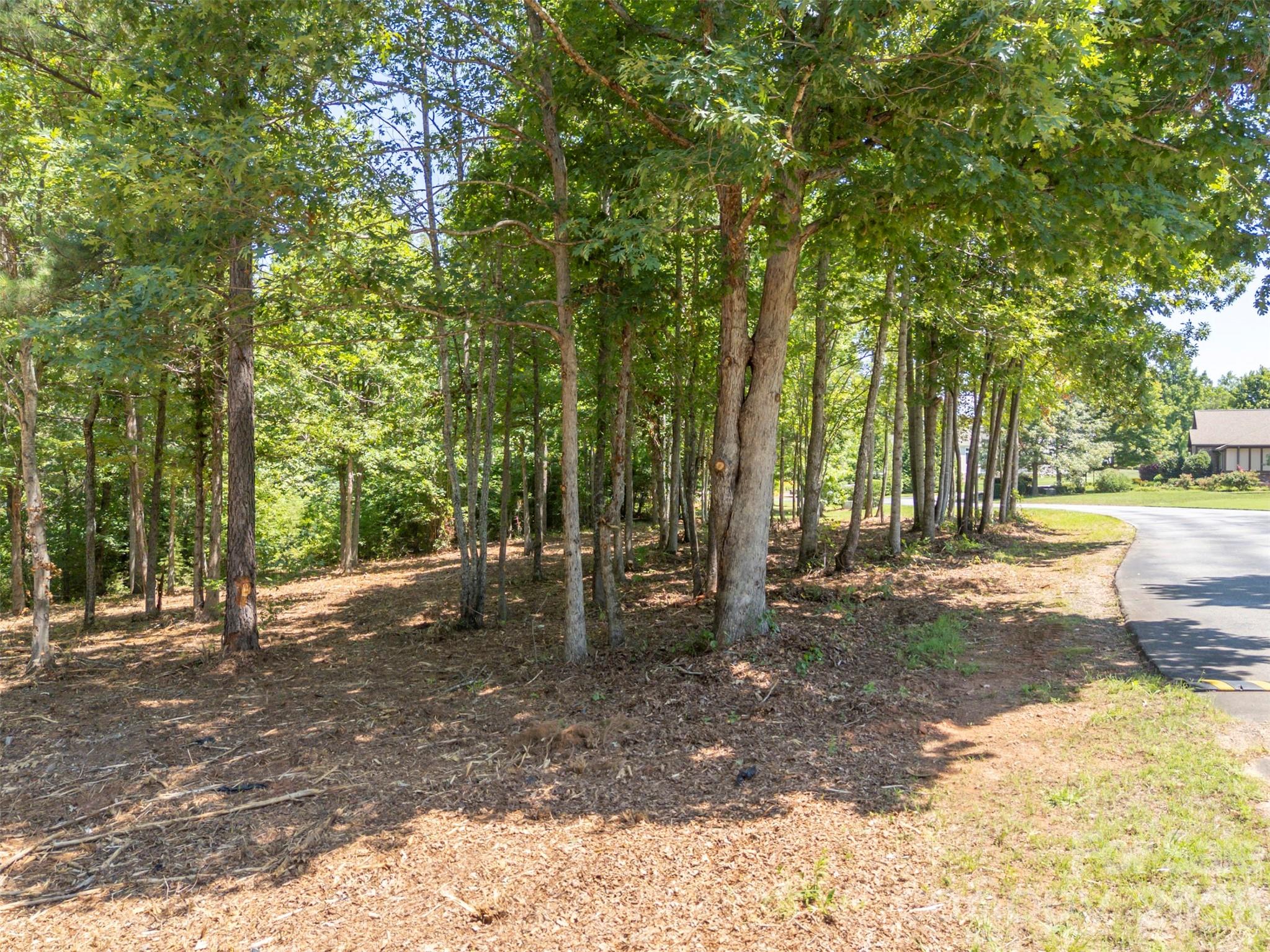 0 Doveridge Drive, Unit 66 Tryon, NC 28782 - Photo 17 of 21 a view of a park with tree s