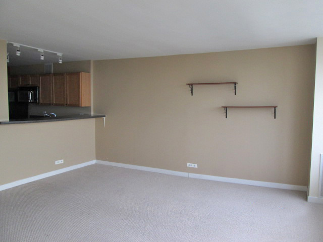 655 West Irving Park Road, Unit 4709 Chicago, IL 60613 - Photo 4 of 12