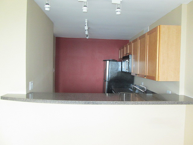 655 West Irving Park Road, Unit 4709 Chicago, IL 60613 - Photo 7 of 12