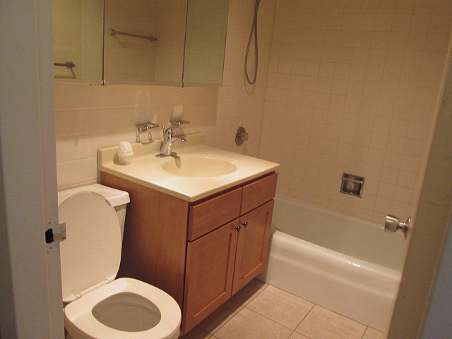 655 West Irving Park Road, Unit 4709 Chicago, IL 60613 - Photo 10 of 12