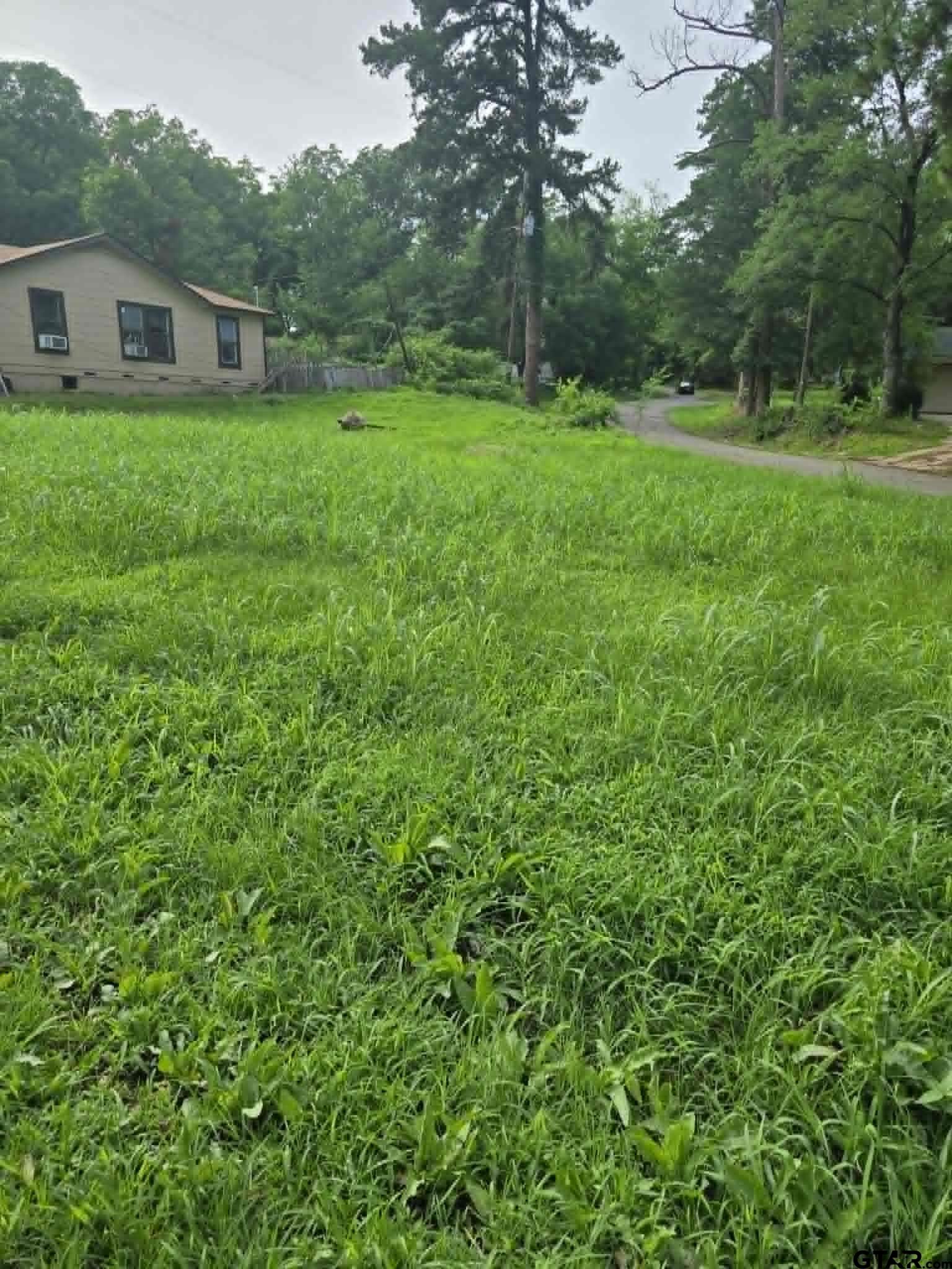 800 Webb Street Daingerfield, TX 75638 - Photo 4 of 5