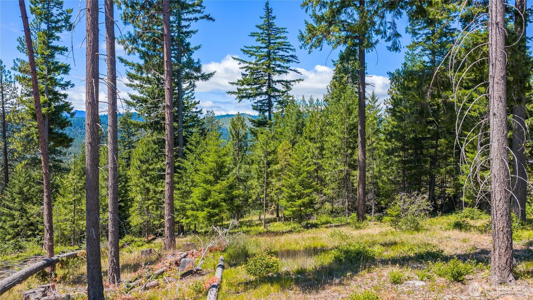 4 Red Sky Way Ronald, WA 98940 - Photo 23 of 31