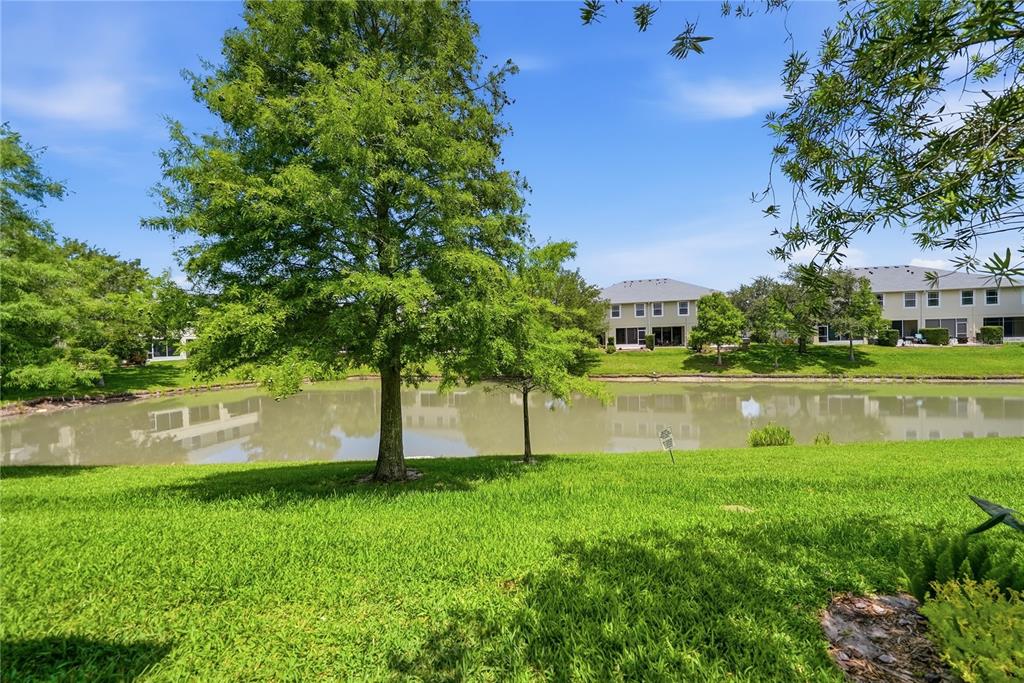 497 Harbor Ridge Drive Palm Harbor, FL 34683 - Photo 40 of 52