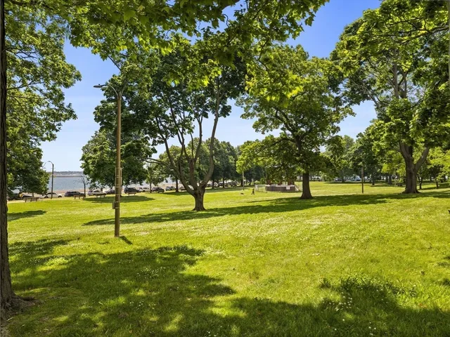 a view of swimming pool with a tree