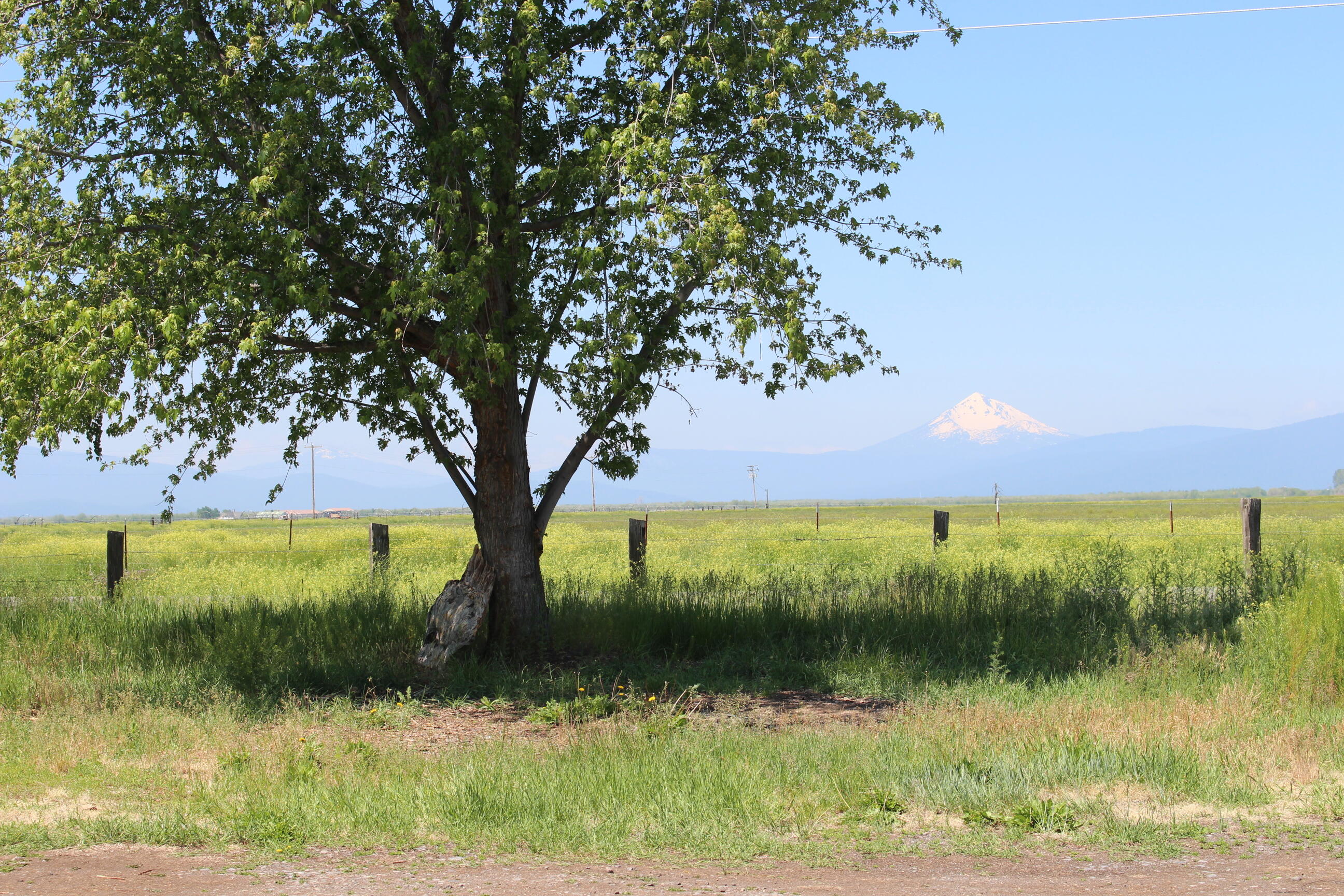 29833 Doak Road Chiloquin, OR 97624 - Photo 3 of 28 IMG_9647