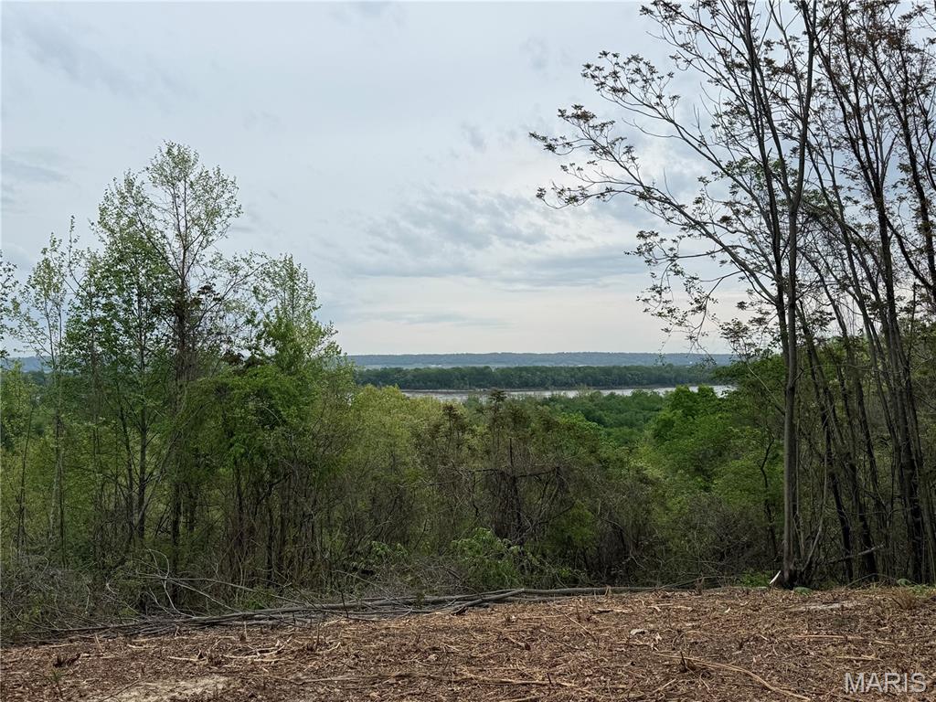 11365 River Hills Road Festus, MO 63028 - Photo 3 of 5