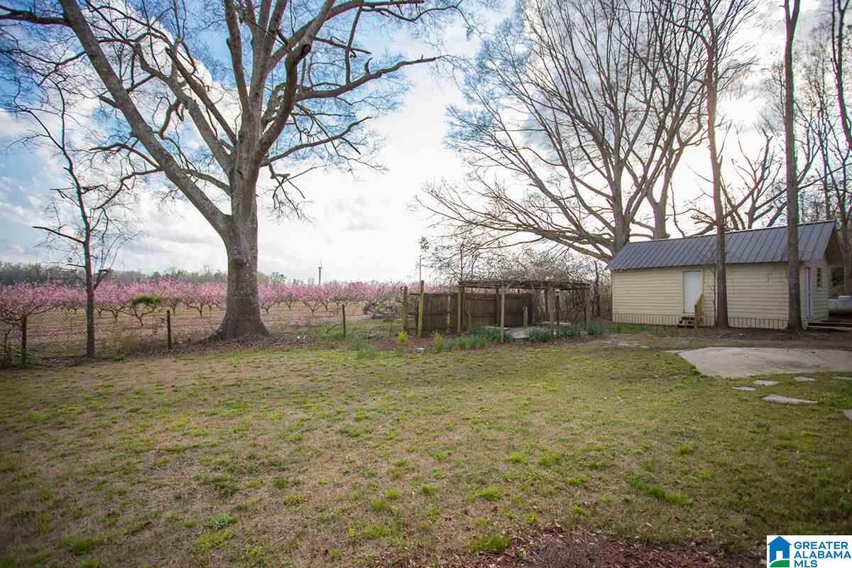 306 Meadowview Circle Clanton, AL 35045 - Photo 29 of 31