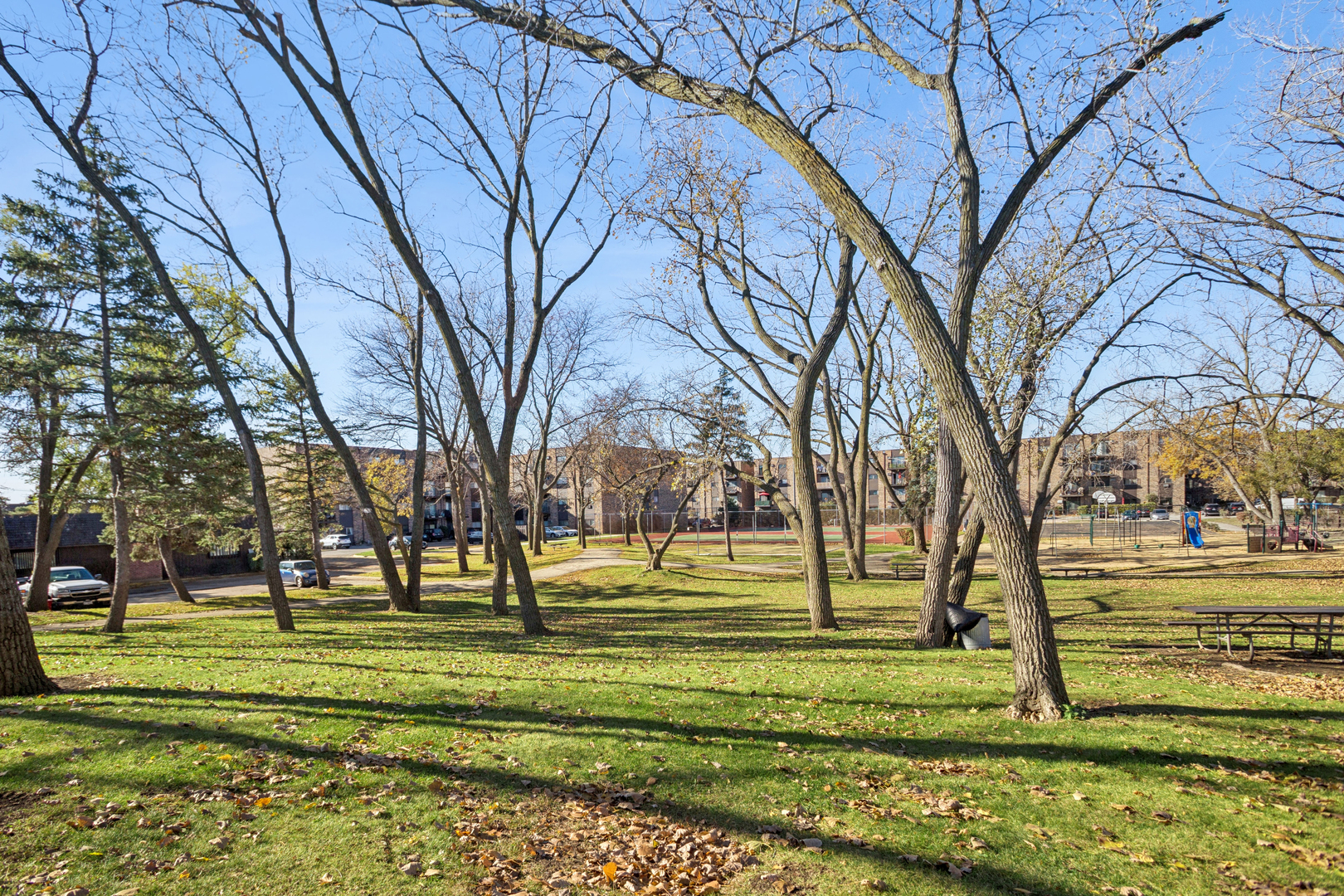 8905 Knight Avenue, Unit 211 Des Plaines, IL 60016 - Photo 5 of 24 a big yard with lots of trees and plants