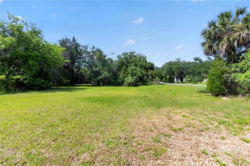4540 South Sawgrass Circle Homosassa, FL 34448 - Photo 6 of 22 a view of a field with an trees in the background