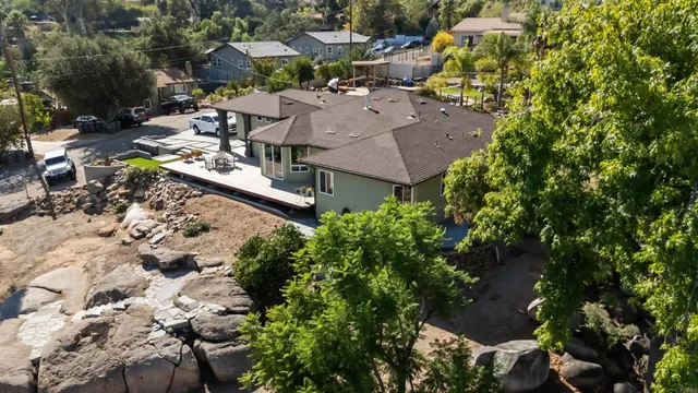 a view of a yard with plants and a large tree