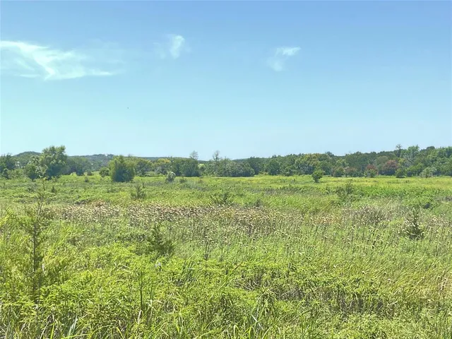 a view of a green field with lots of bushes