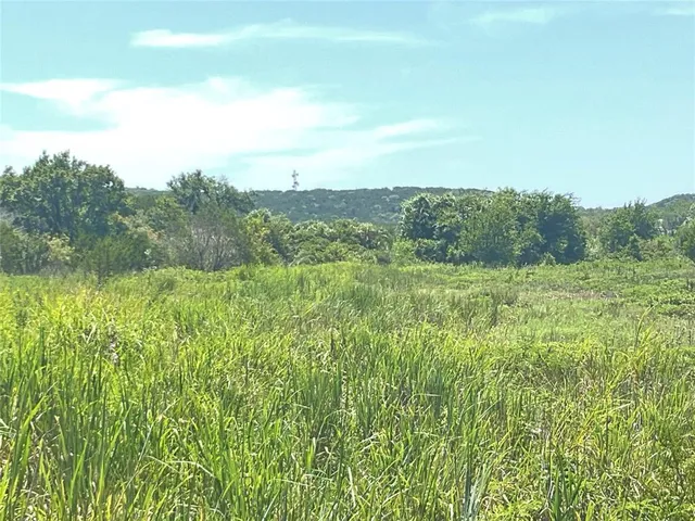 a view of a lush green space with sea