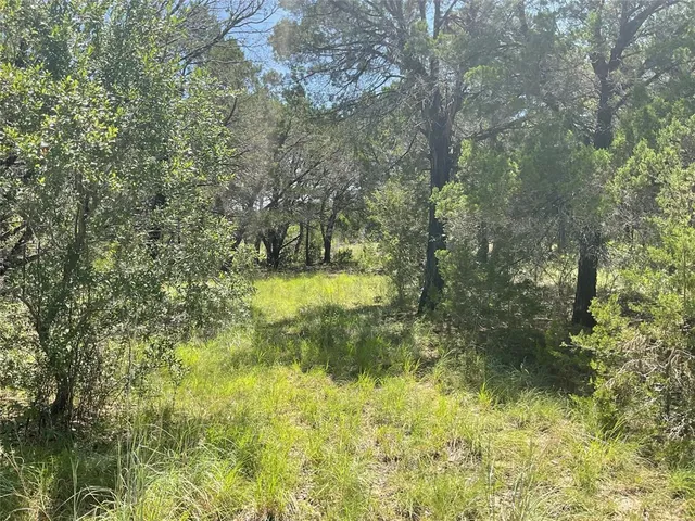 a view of swimming pool from a yard