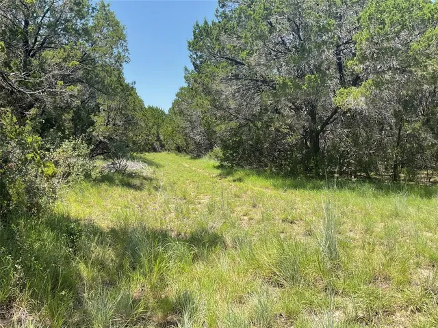 a view of swimming pool from a yard