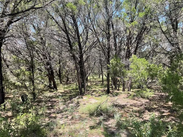 a view of outdoor space with trees