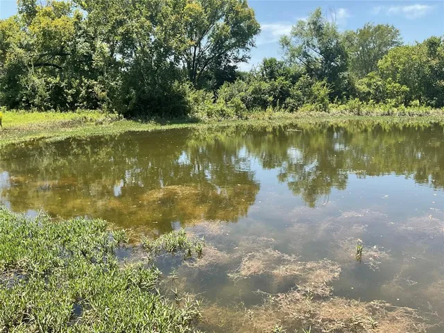a view of a lake view with a large trees