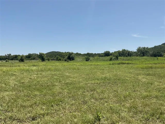 a view of a field with an trees in the background
