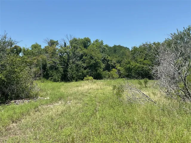 a view of a yard with an tree