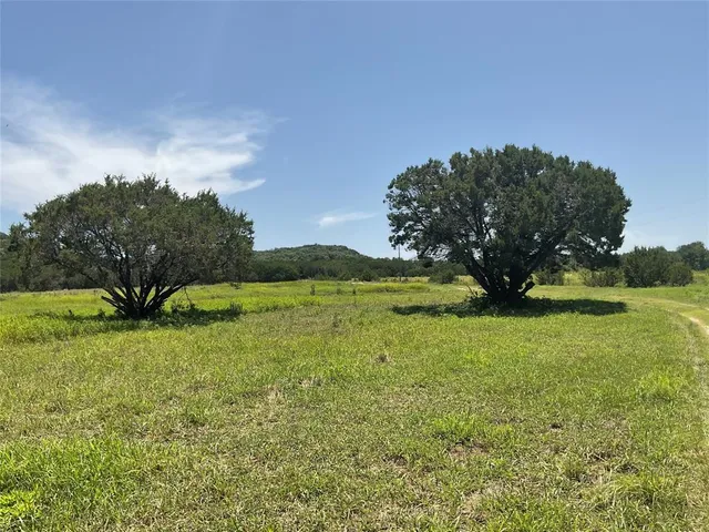 a view of a field of grass and trees