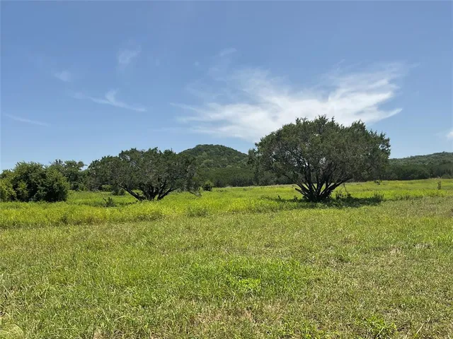 a yard with lots of green space