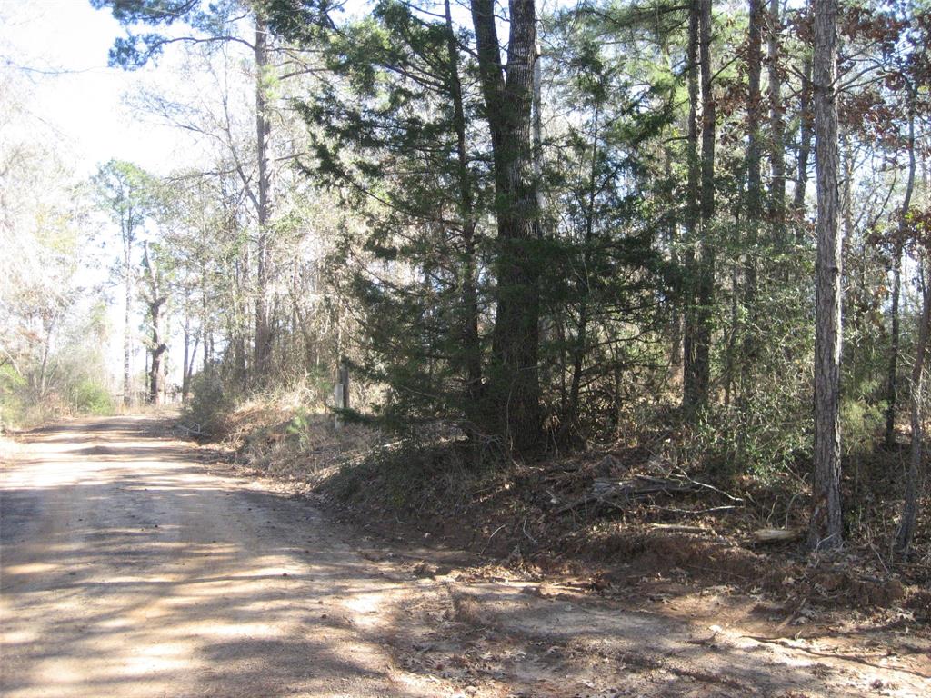 0 Cr 1172 Ratcliff Tx 75858