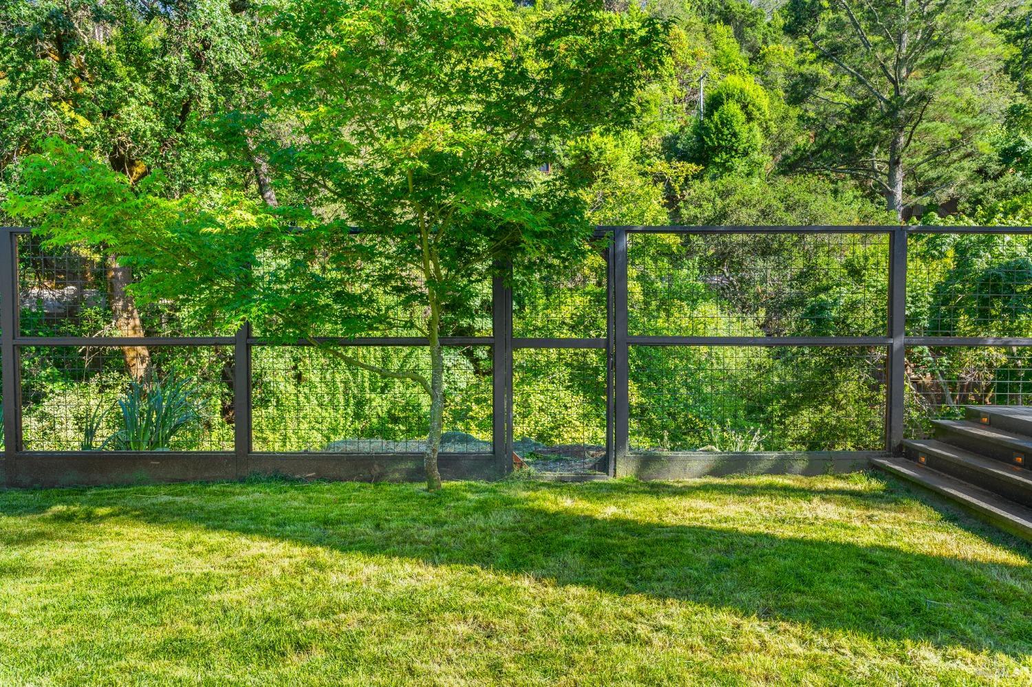 93 Cascade Drive Fairfax, CA 94930 - Photo 49 of 61 a view of a yard with a large tree