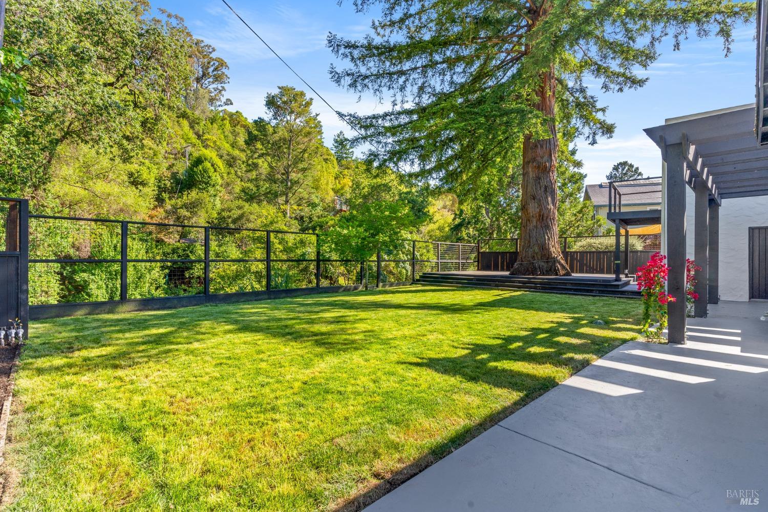 93 Cascade Drive Fairfax, CA 94930 - Photo 55 of 61 a view of a park with large trees
