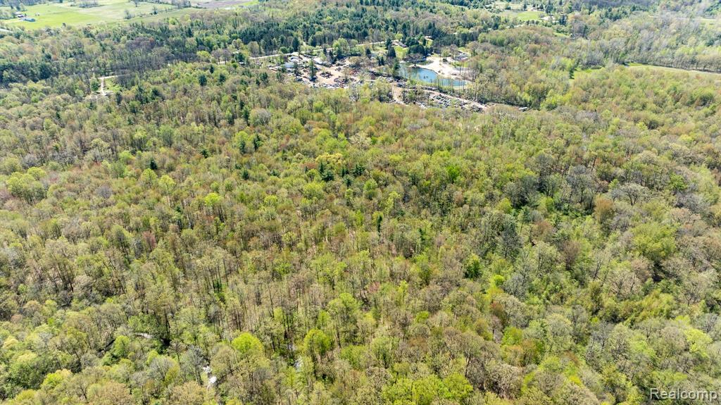 1753 Emerson Road Goodells, MI 48027 - Photo 7 of 15