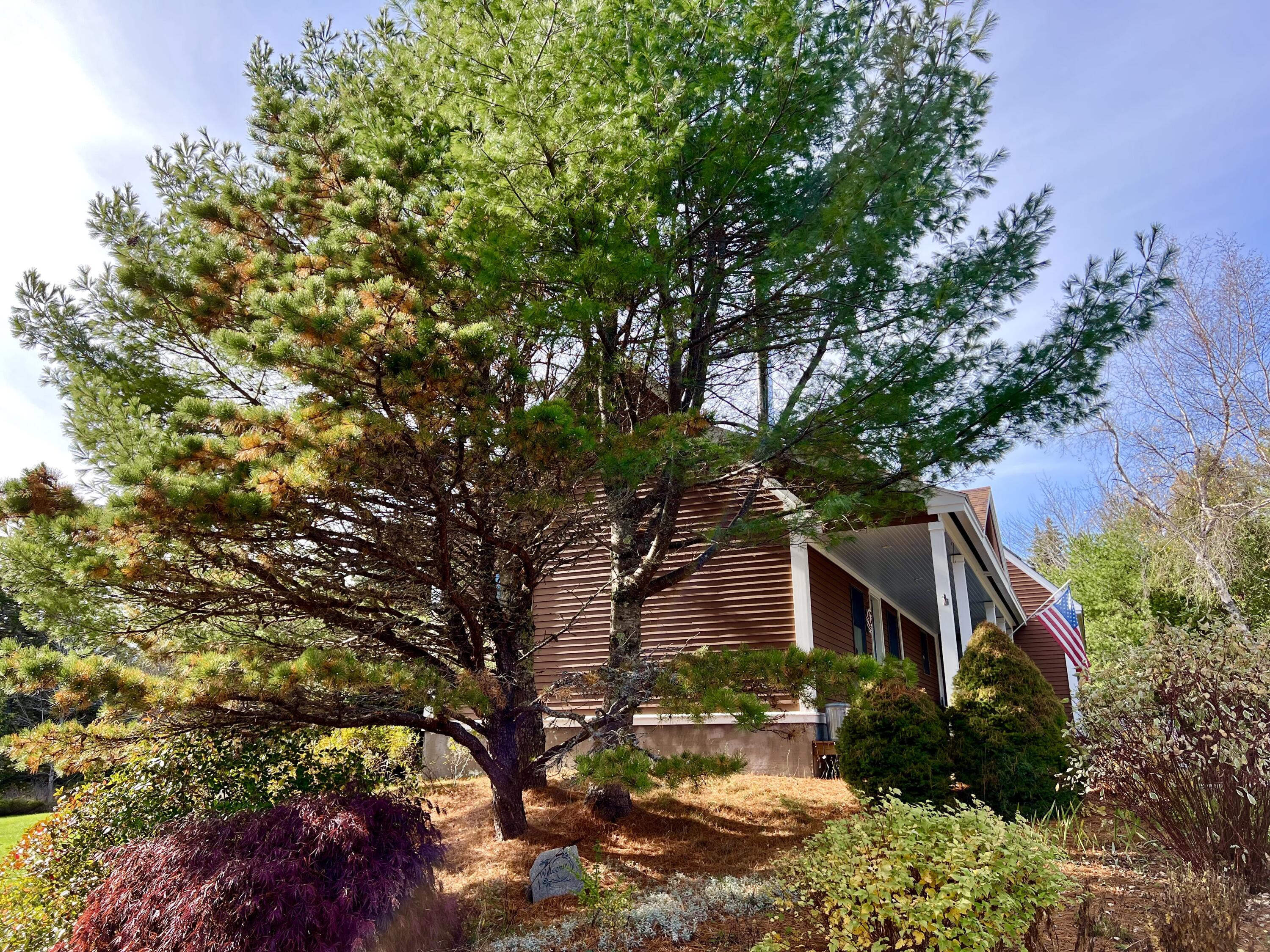 70 Burnt Hill Road Tremont, ME 04653 - Photo 56 of 69 Exterior side of home
