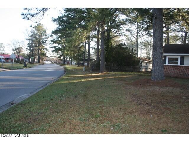 101 Ivey Court Jacksonville, NC 28540 - Photo 17 of 18 Left Side