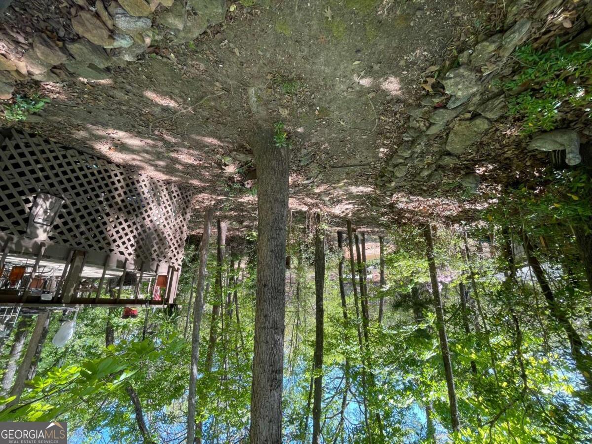 38 Big Water Circle Hartwell, GA 30643 - Photo 39 of 86