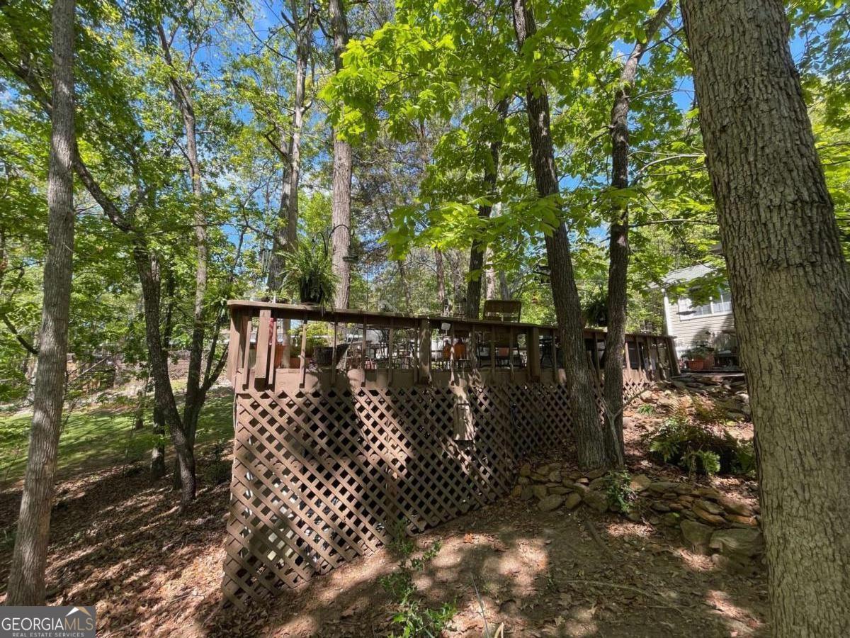 38 Big Water Circle Hartwell, GA 30643 - Photo 44 of 86