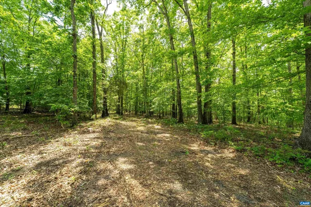 $75,000 | 1309 Salem Road, Schuyler, VA 22969