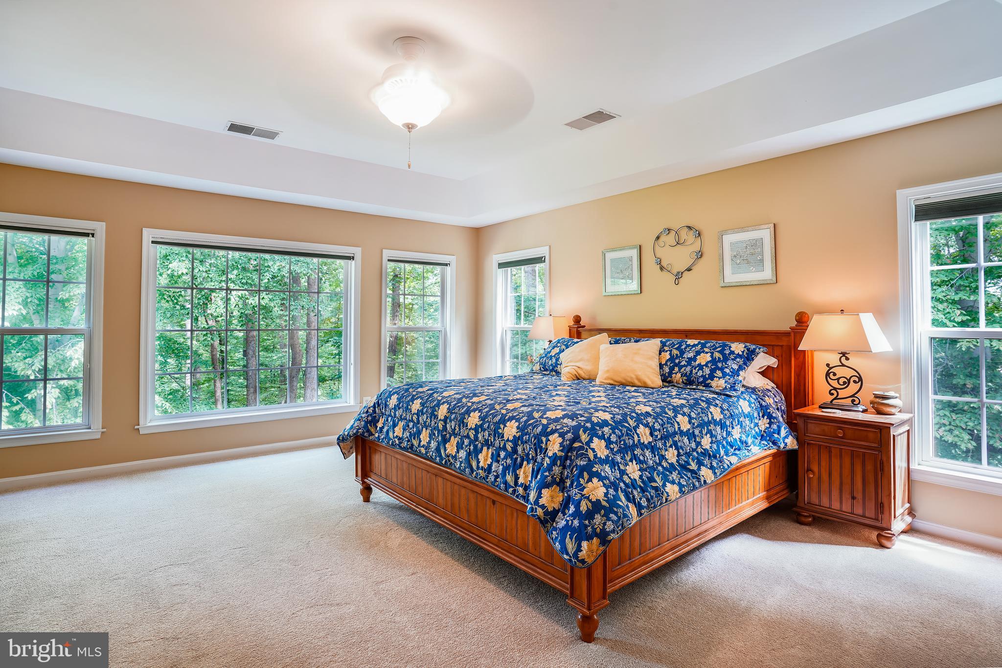 5301 Rutherford Drive Woodbridge, VA 22193 - Photo 24 of 58 Tray Ceiling and Ceiling Fan