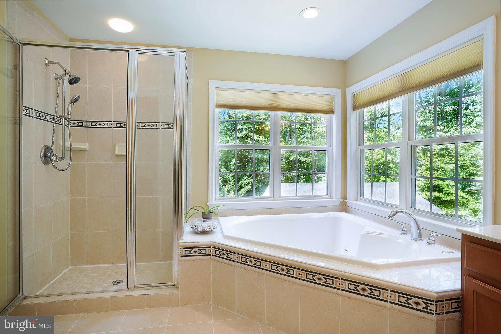 5301 Rutherford Drive Woodbridge, VA 22193 - Photo 30 of 58 Master Bedroom Bath